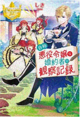 憧憬成为魔法少女第12集